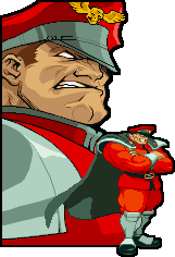 Bison