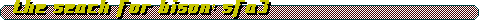 The Search for Bison: SFA3